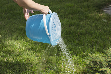 Без имени-5.jpg